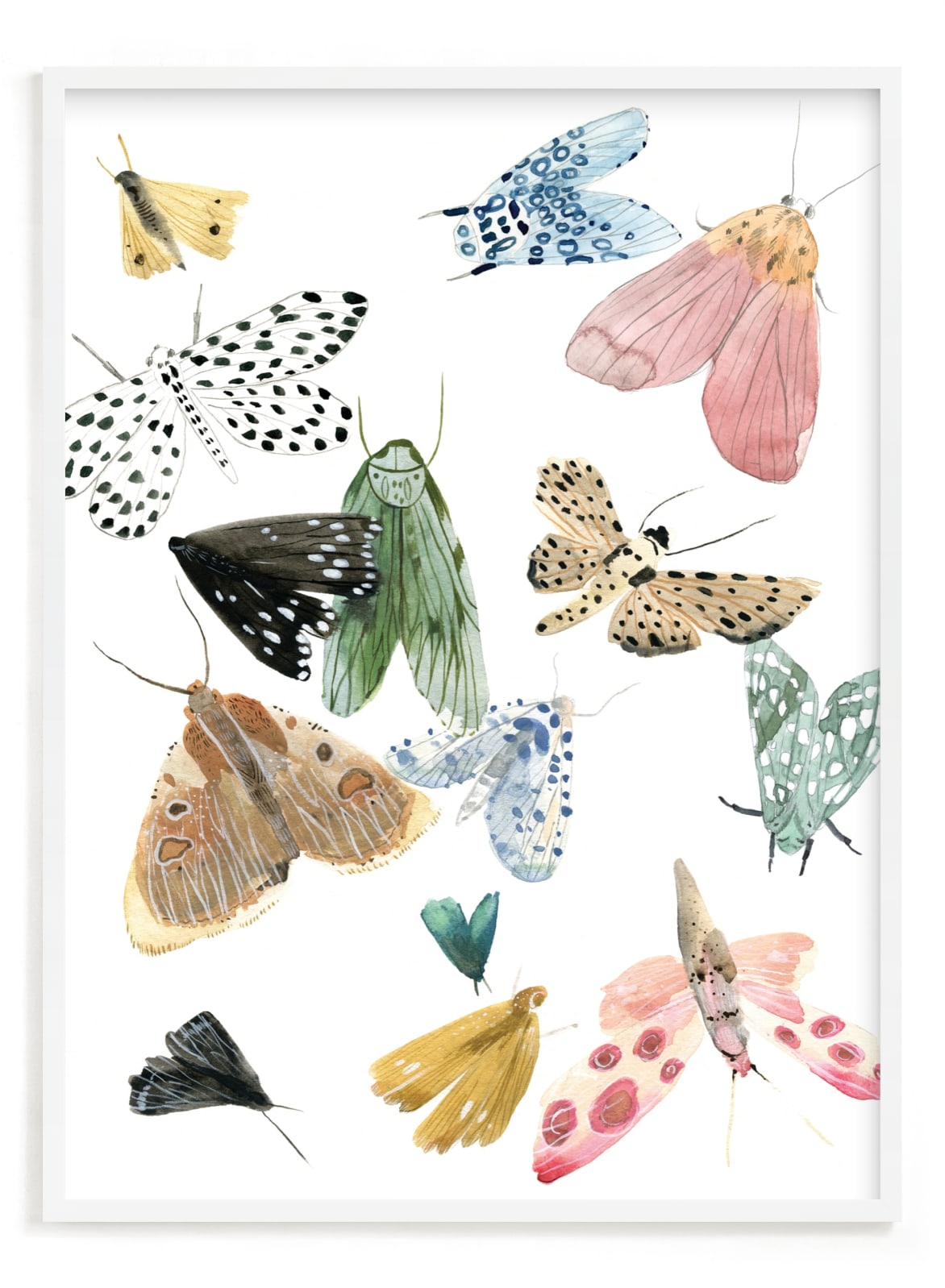 Moths Limited Edition Art Minted